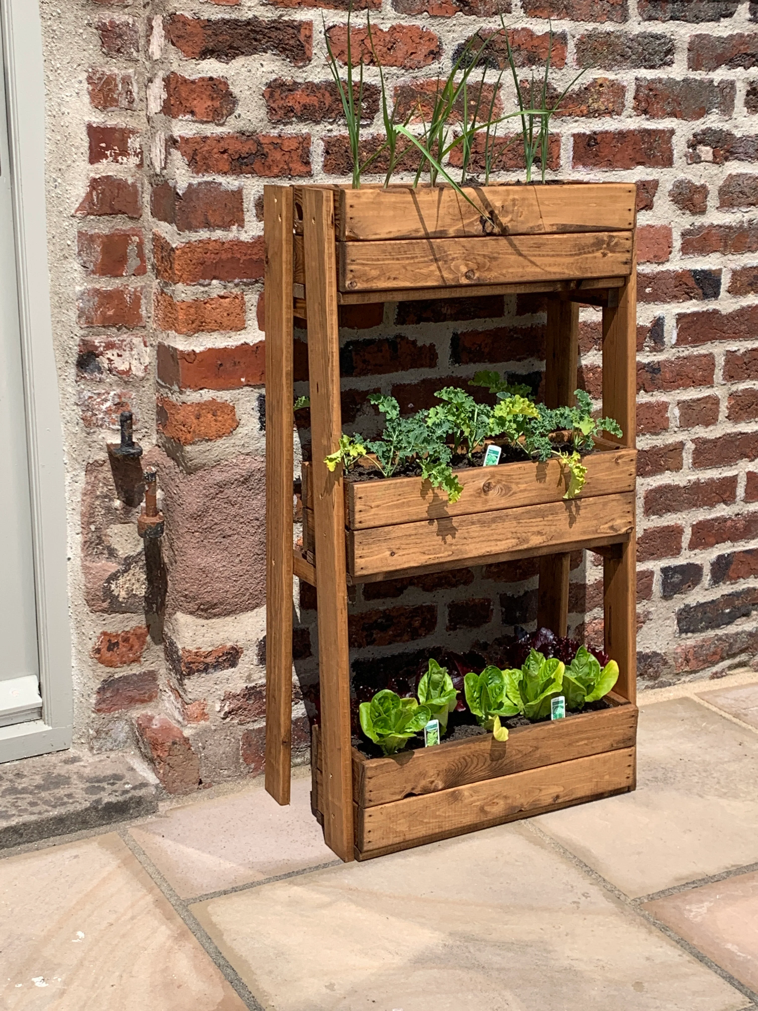 HB213 - Regular Country Kitchen Herb Garden - Image 4