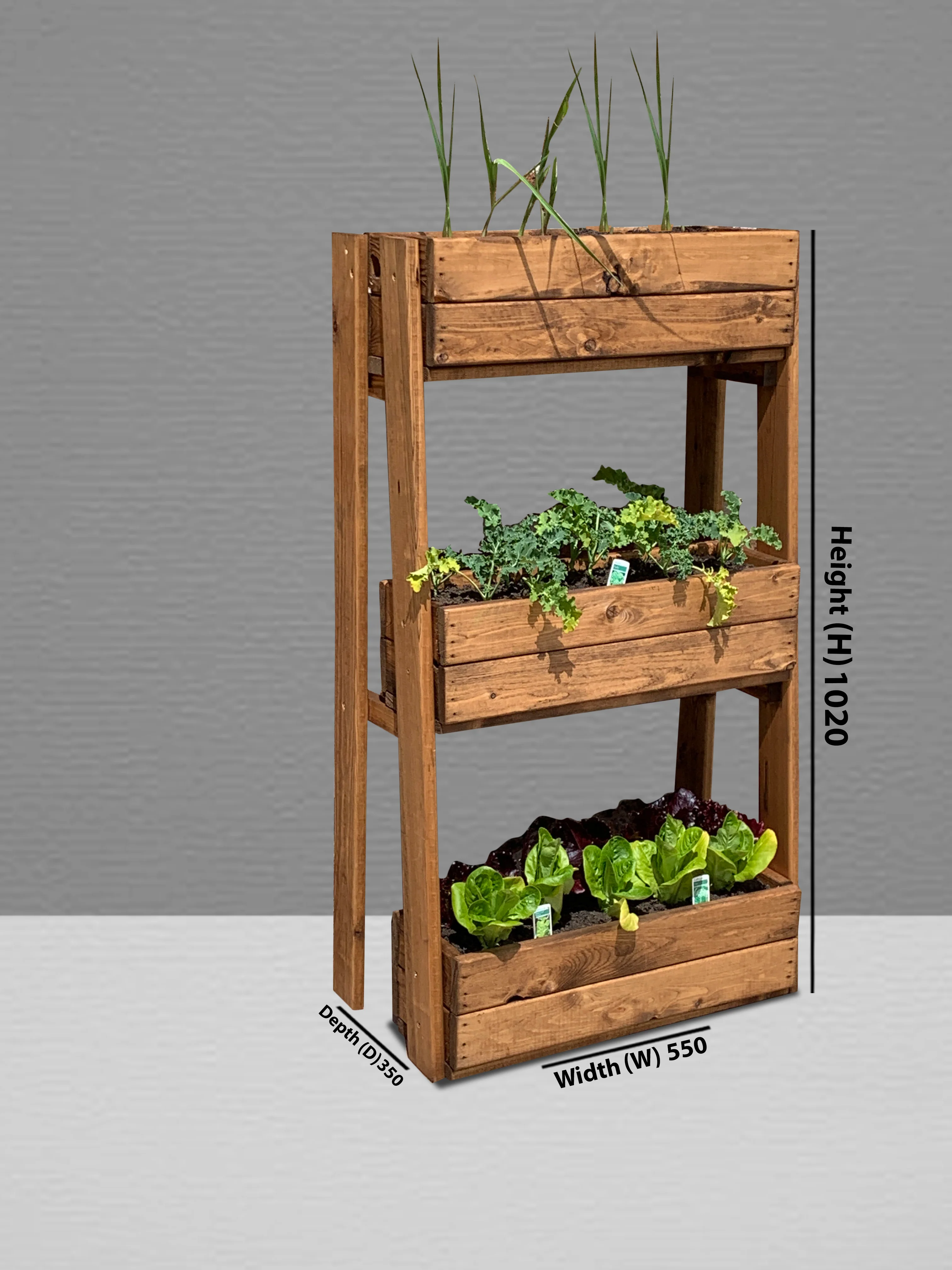 HB213 - Regular Country Kitchen Herb Garden - Image 5