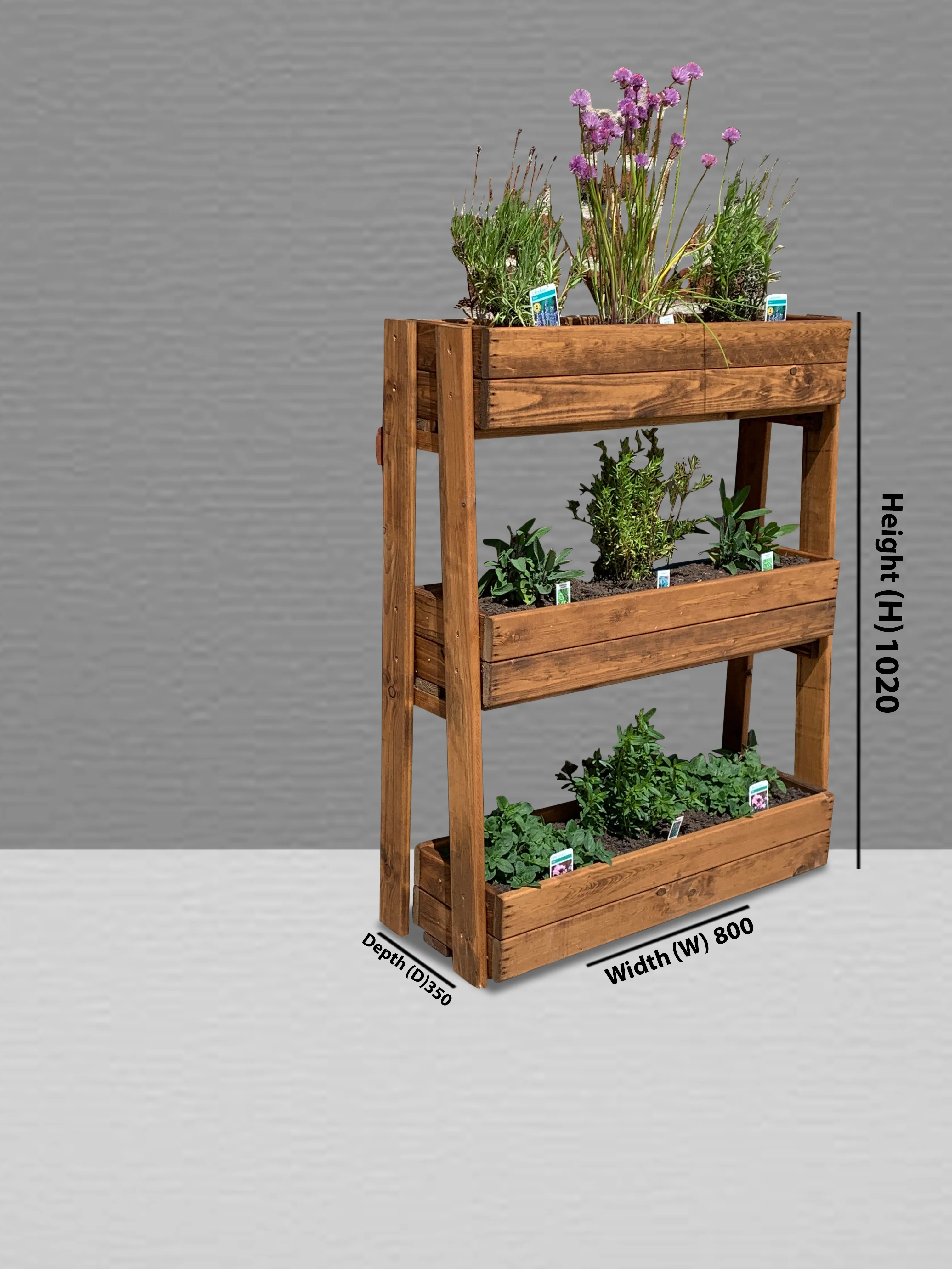 HB214 - Large Country Kitchen Herb Garden - Image 4