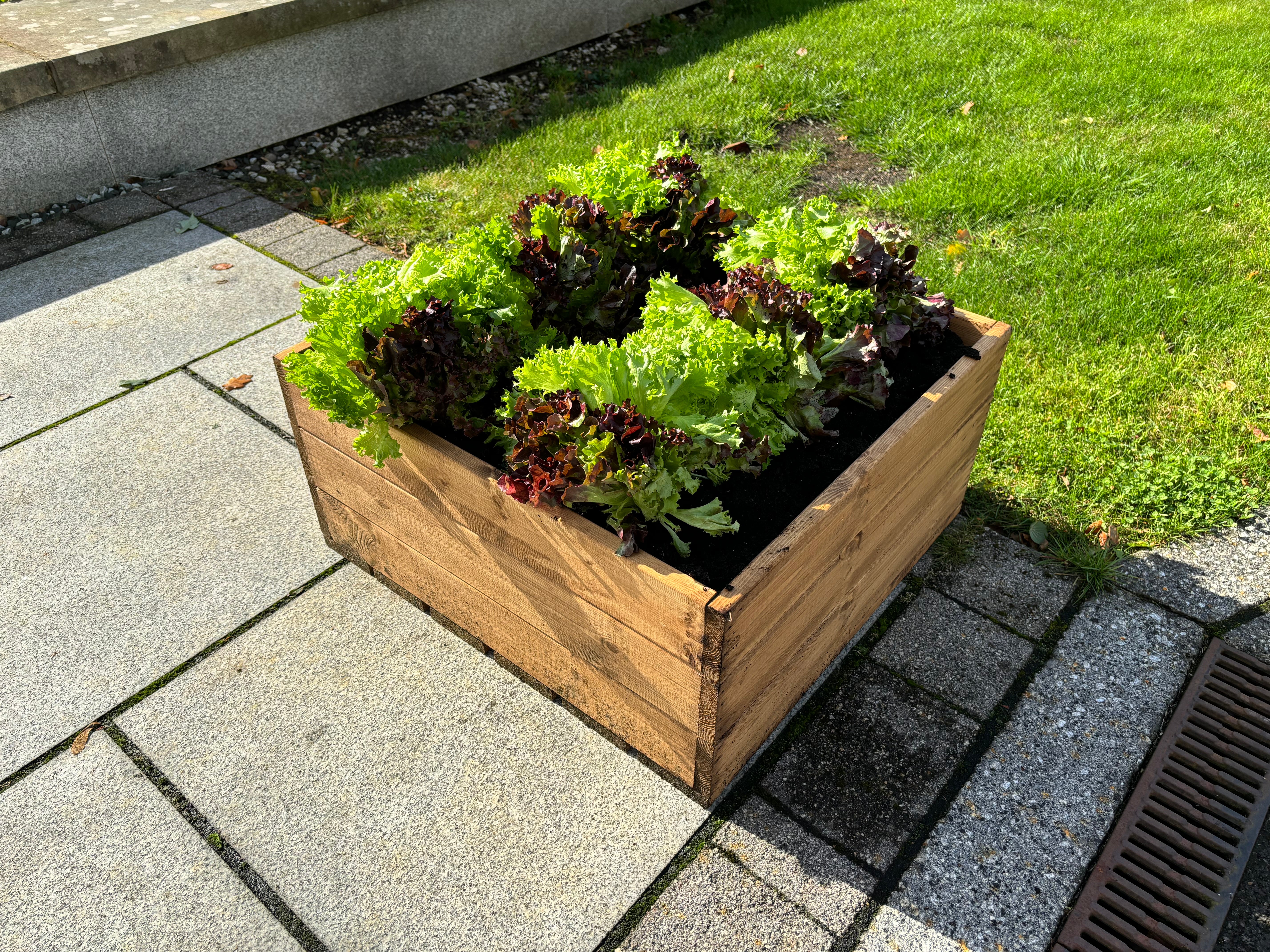 HB314 - Country Kitchen Large Raised Bed - Image 3
